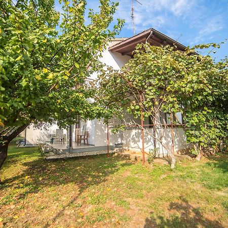 Villa Aleksandar Porec Poreč Exterior foto